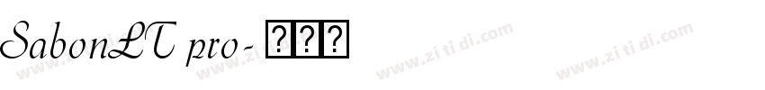 SabonLT pro字体转换